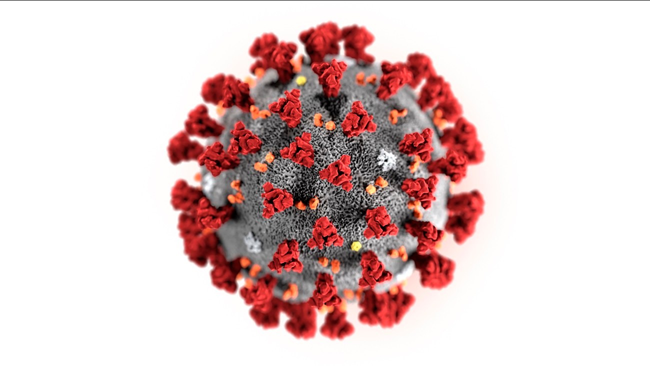 世卫组织警告：新冠病毒可能永远不会消失