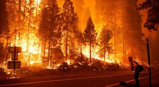揭晓宝宝性别搞出森林大火，这家人如今可能被索赔数百万美元…