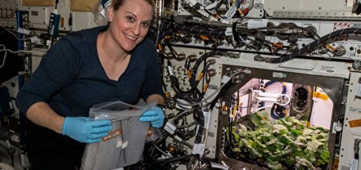 史上首次 美太空人采收在外太空种植的萝卜
