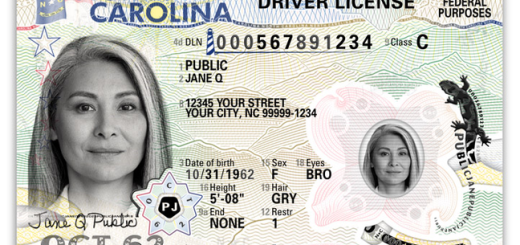 Image of the new NC Driver's License, ID Card which will be issued starting in June. (Photo Credit: NC DMV)